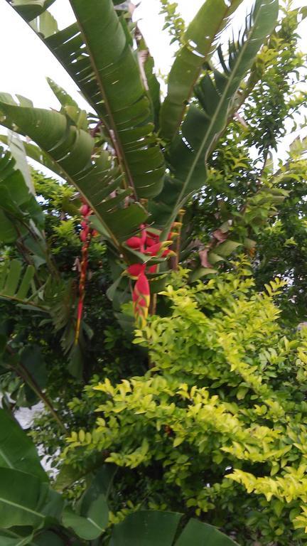 Sol E Cia Casa De Temporada Villa Caraguatatuba Ngoại thất bức ảnh